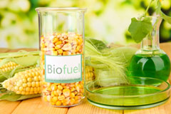 Carzantic biofuel availability