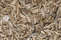 biomass boilers Carzantic